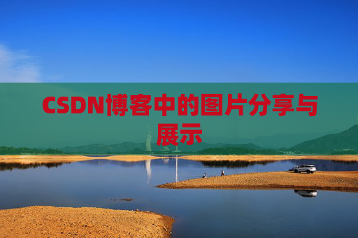 CSDN博客中的图片分享与展示